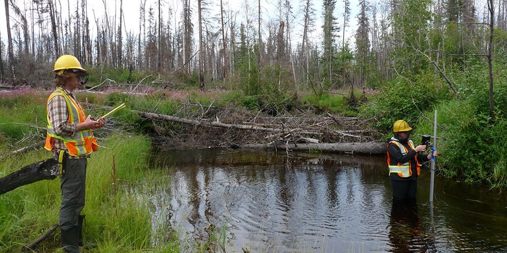 Home - Catchment and Wetland Sciences Research Group (CAWS)